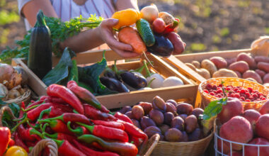 fruit and vegetable stall