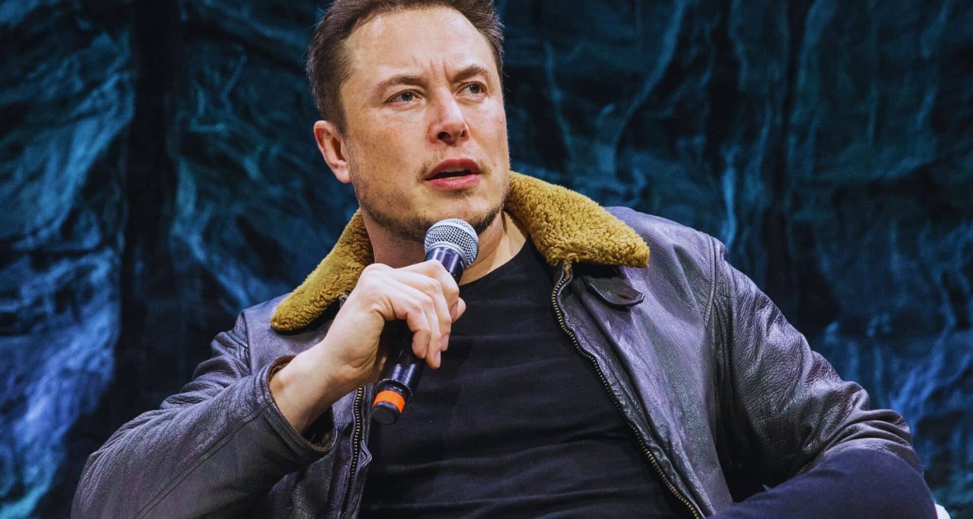 Young Elon Musk