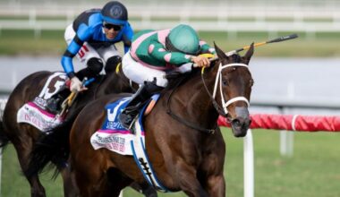 2025 Beverly D. Stakes at a Glance