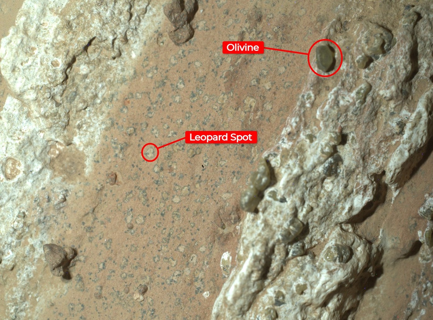 Annotated Mars rock image showing olivine and leopard spots.