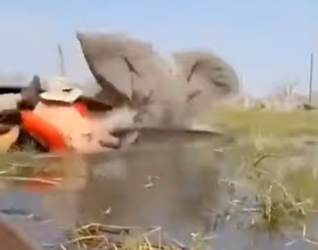 Elephant capsizing a canoe in the Delta River, Botswana.
