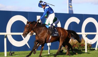 Anmaat on course for Irish Champion Stakes