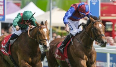 O'Brien confirms Illinois and Jan Brueghel for St Leger