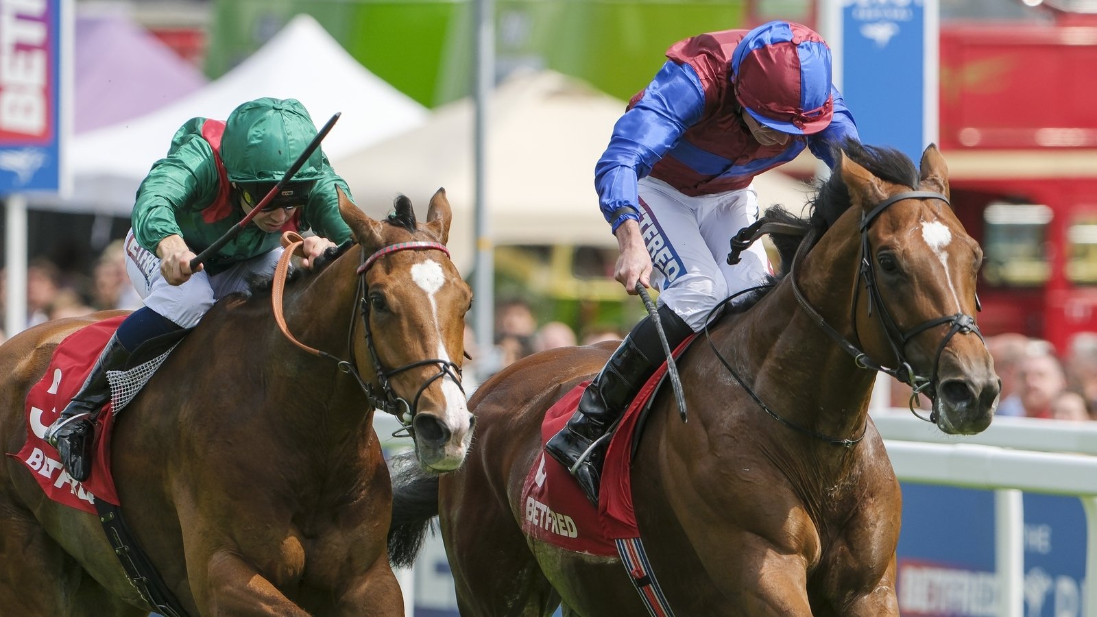 O'Brien confirms Illinois and Jan Brueghel for St Leger