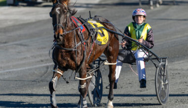 Man Of Action doing it his own way :: Racing Queensland