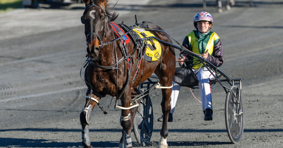 Man Of Action doing it his own way :: Racing Queensland