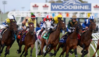 DRF's Horse Racing Playbook for Thursday, September 25, 2025