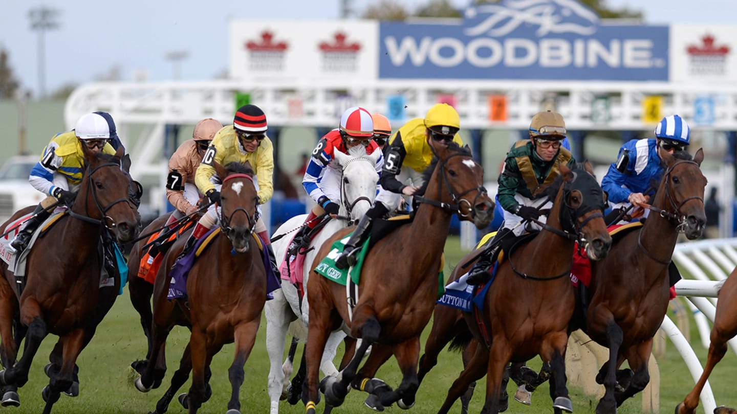 DRF's Horse Racing Playbook for Thursday, September 25, 2025