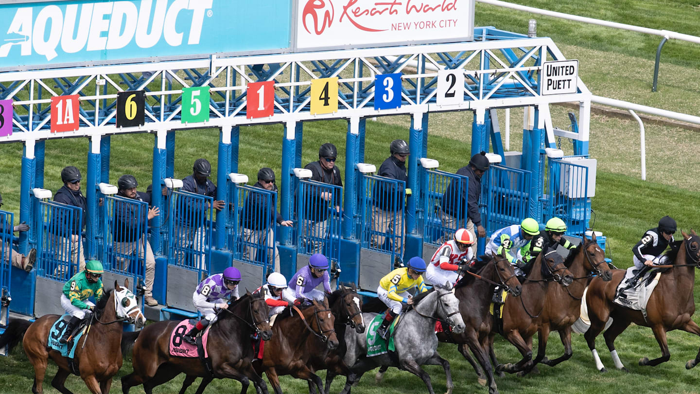 DRF's Horse Racing Playbook for Thursday, September 11, 2025