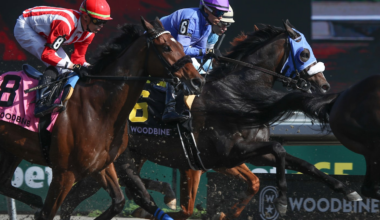 Best Horse Races to Bet on for Friday, September 12th