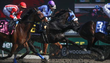 Picks and Predictions for 8 of the Best Horse Races on Friday, September 26, 2025