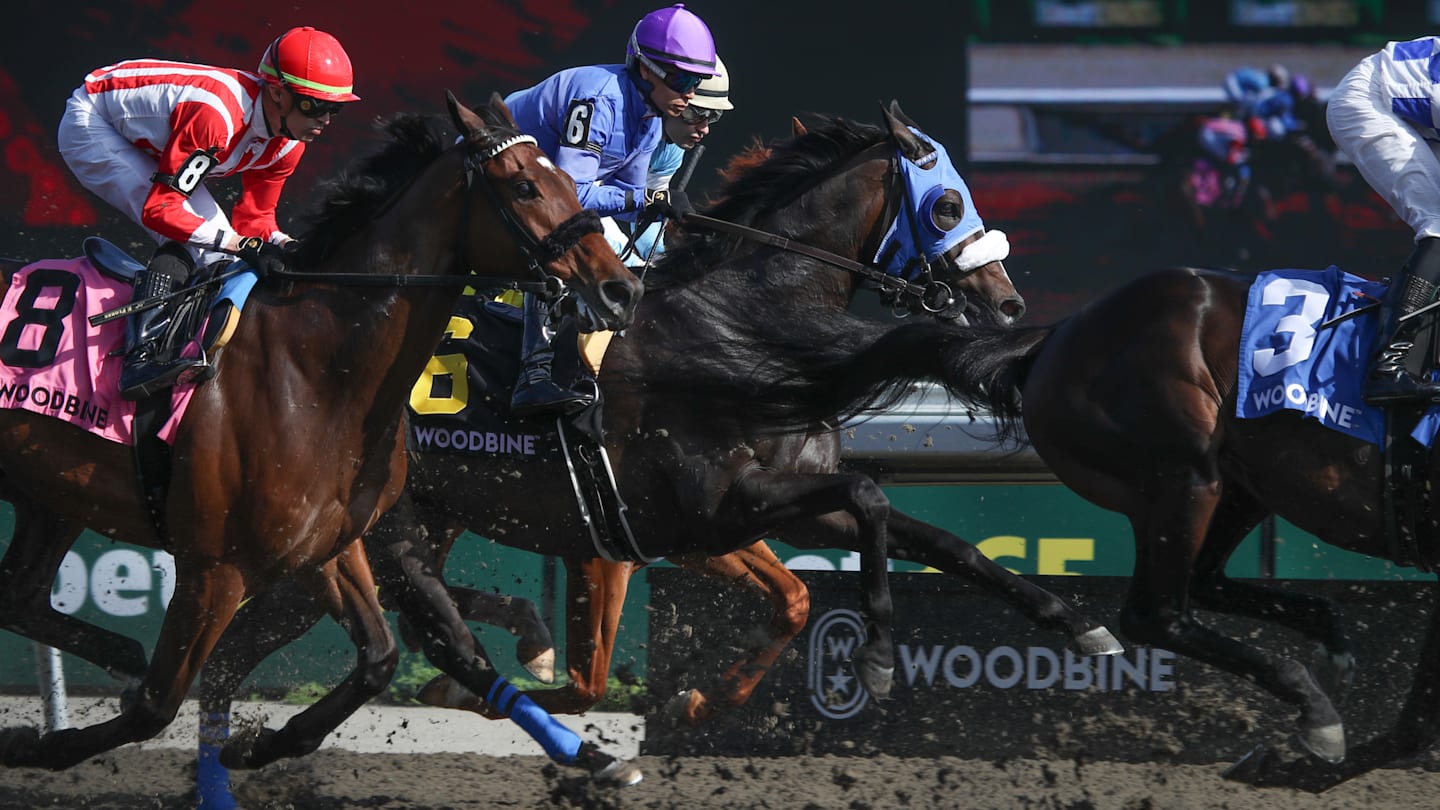 Picks and Predictions for 8 of the Best Horse Races on Friday, September 26, 2025