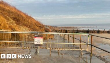 Japanese knotweed further threatens eroding cliffs at Overstrand