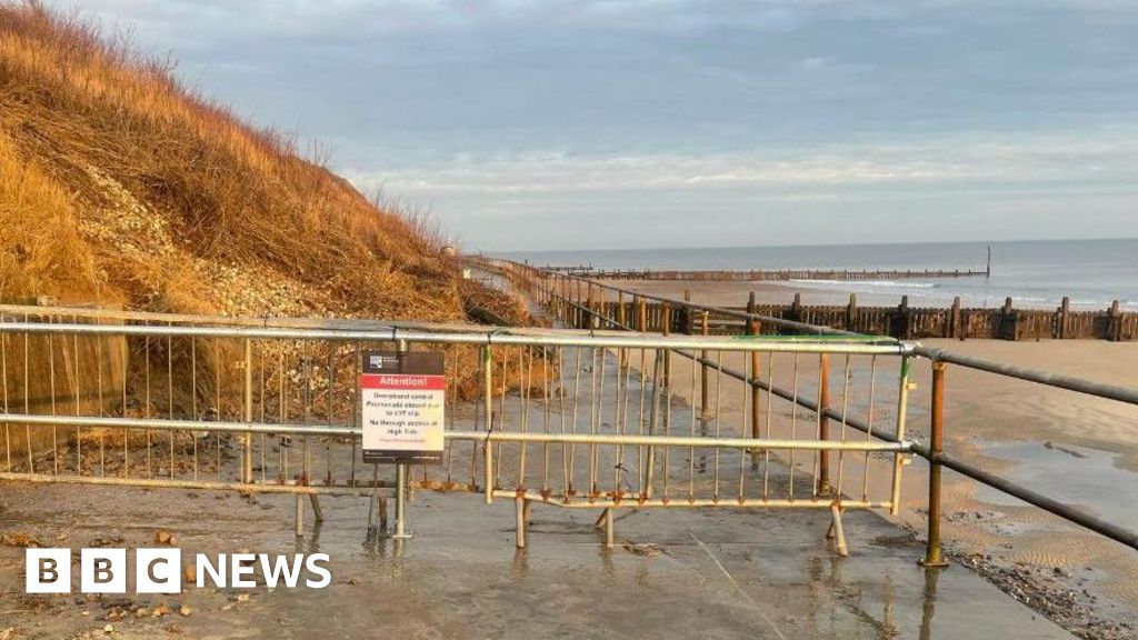 Japanese knotweed further threatens eroding cliffs at Overstrand