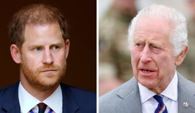 King Charles and Prince Harry’s Potential Meeting Next Week Is “Make-Or-Break”