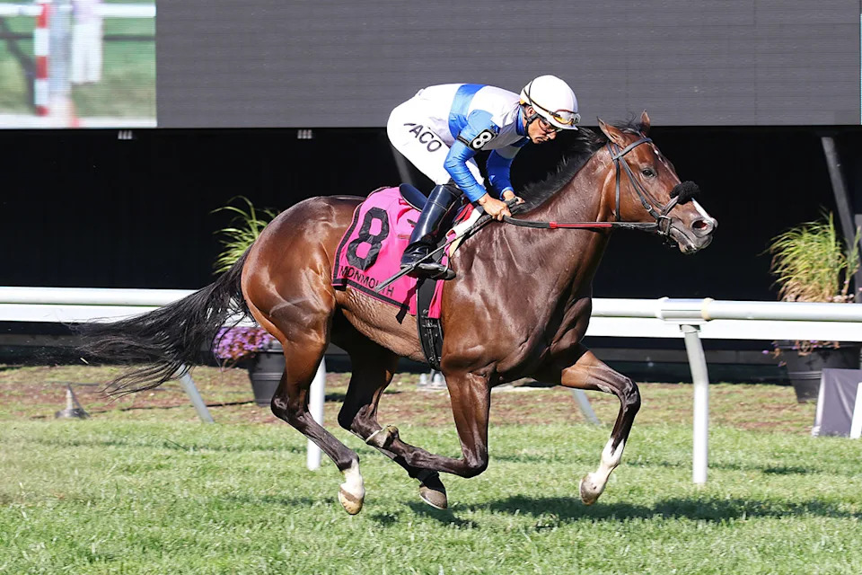 Bingo's Birkin, with Monmouth leading rider Paco Lopez aboard, wins the Pinot GrigioBill Denver&sol;EQUI-PHOTO