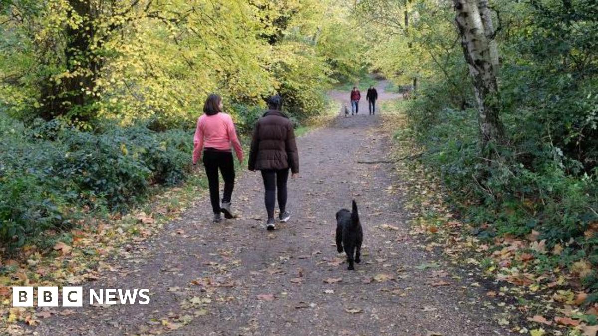 Dog walkers walk through trees with autumn leaves scattered across the path.