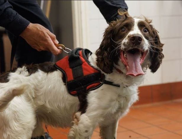 Bruce, one of GMP's new recruits.