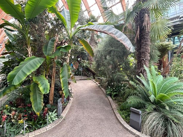 The Winter Gardens were a free and accessible walk though nature