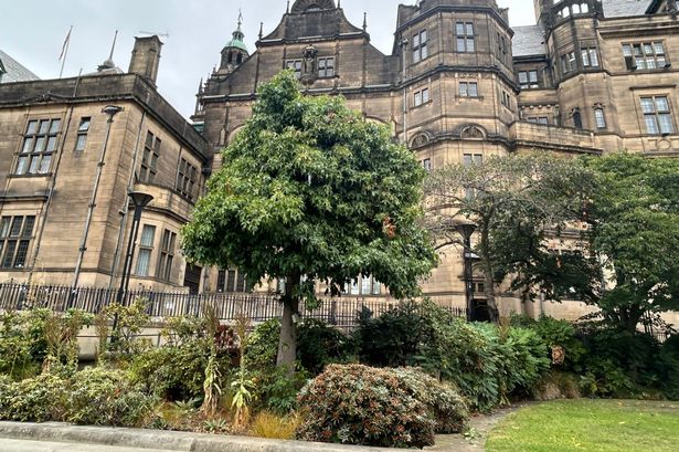 Piccadilly Gardens could learn a few things from the UK's greenest city