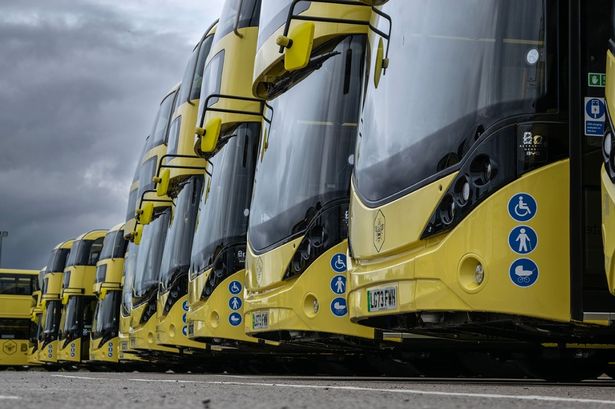 Bee Network buses