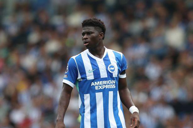 Carlos Baleba during the Premier League match between Brighton & Hove Albion and Fulham. 