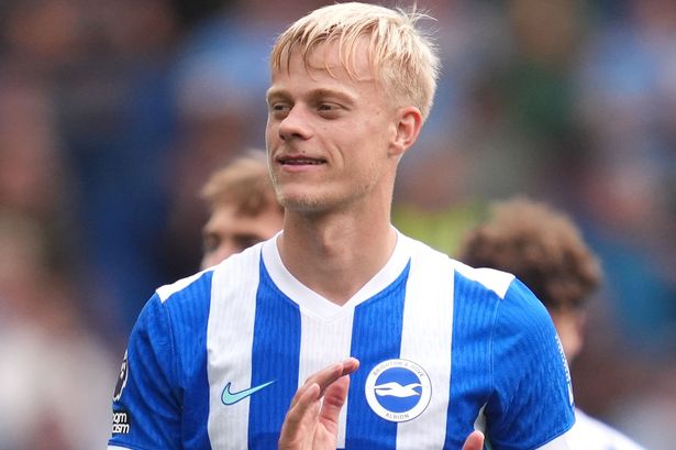 Newcastle United have been tipped to move for Brighton's Jan Paul van Hecke. 