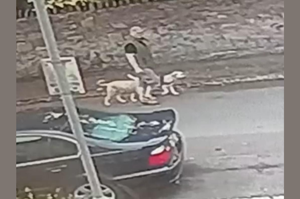 Police officers wish to speak to this man about a dog attack