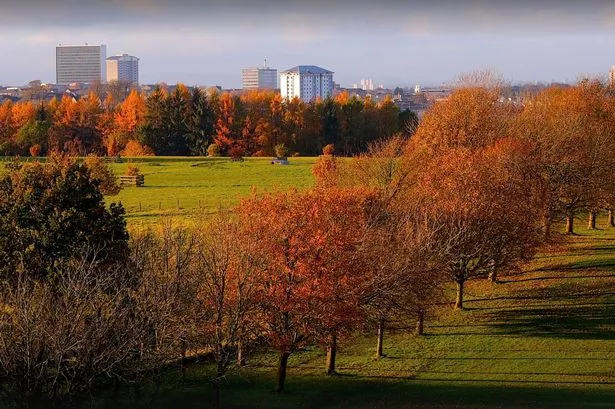 The colours of autumn are in full display at Chatelherault Country Park 