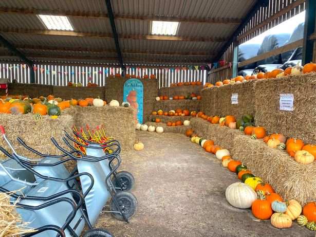 Pye Ash Farm