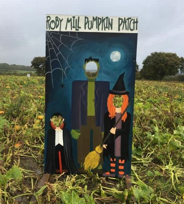 Roby Mill Pumpkin Patch, Wigan