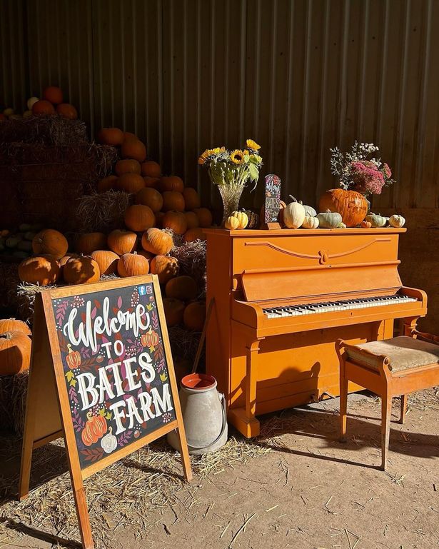 There's an indoor barn to stay sheltered at Bates Farm