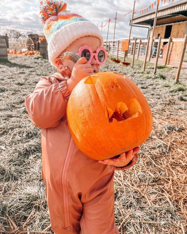 The Pumpkin Patch at Cockfields Farm