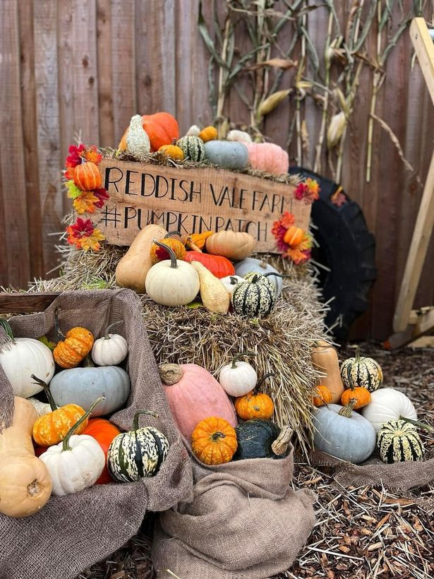 There's a Halloween Festival happening at Reddish Vale Farm