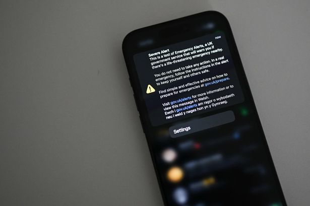 The emergency alert as seen on the phone screen