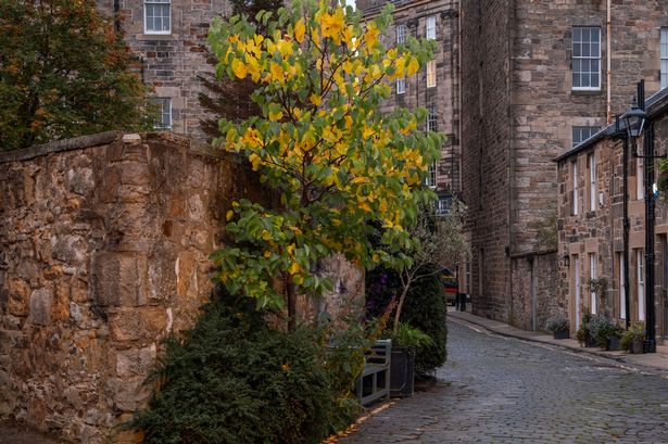 Houses at Circus Lane, Edinburgh, Scotland