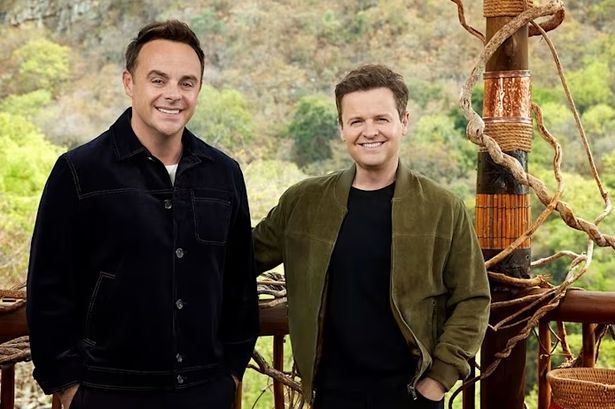 I'm A Celebrity All Stars line-up as David Haye and Gemma Collins return to the jungle