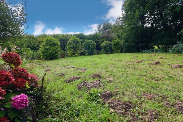 Photo of the land at Stone Barn between Cardiff and Caerphilly going to auction with guide price of £139,000 with Auction House Wales
