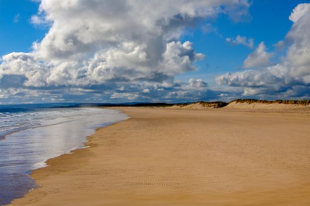 An image of a sandy beach with dunes under a blue sky with white clouds.