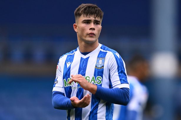 Harry Amass is on loan at Sheffield Wednesday