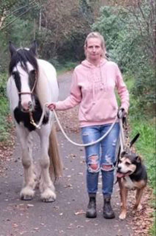 woman walking leading horse and dog