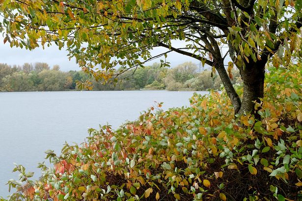 Autumnal colours at Sale Water Park