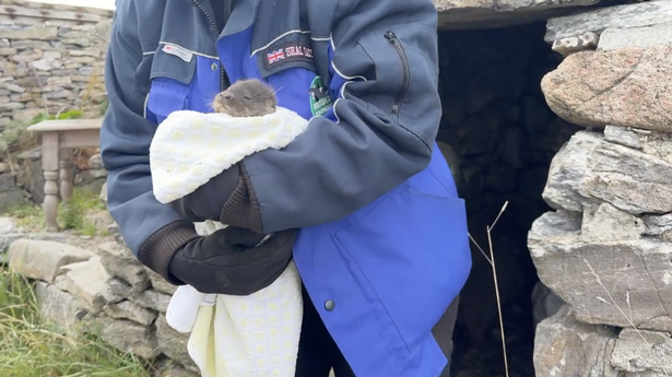 Tiny Hope has been receiving round-the-clock care