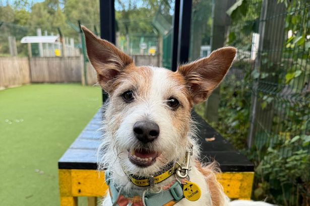 Skipper smiling at camera