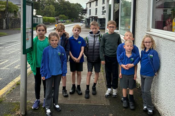 The image shows a group of youngsters looking angry while standing beside a bus stop