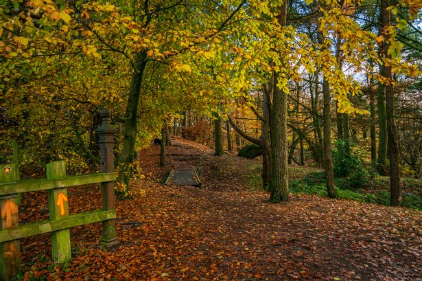 Tandle Hill Country Park during the autumn 