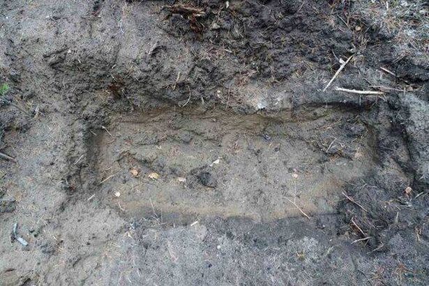 The father made friend dig his own grave in the woods