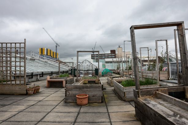 The urban roof garden The Landing will form part of a free family-friendly party in Stockport 