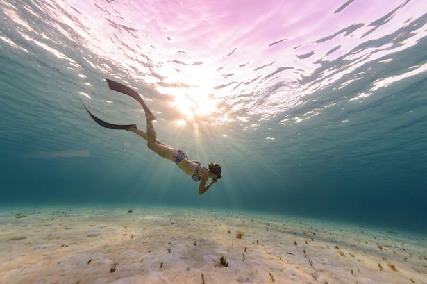 underwater woman swimming in cozumel, mexican caribbean
