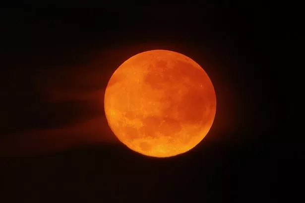 Full moon,Dallas County,Texas,United States,USA - stock photo
